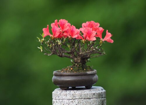 ysl包包价格一般多少钱