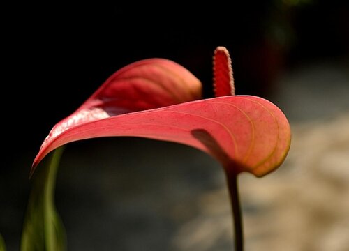初一上册数学100道应用题及答案