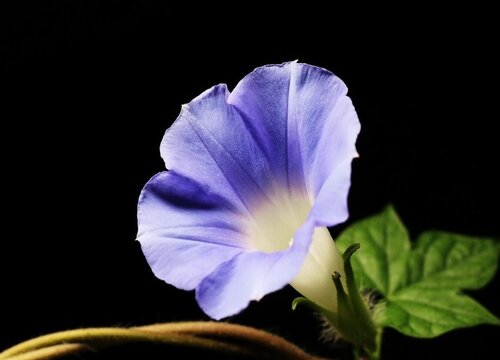 ysl包包价格一般多少钱