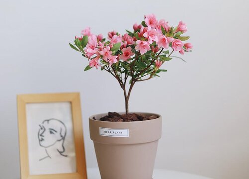 手机怎样注册个人电子邮箱