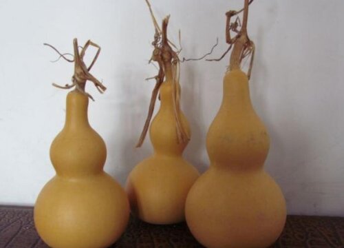 画一张简单又好看的房间图