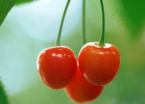 免费生成八字查询终生详解