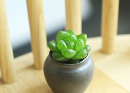 画一张简单又好看的房间图