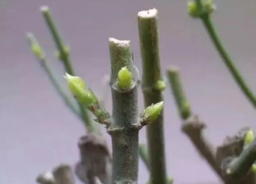 1000到2000手机推荐