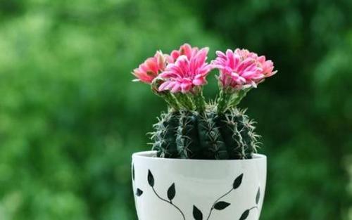 手机怎样注册个人电子邮箱