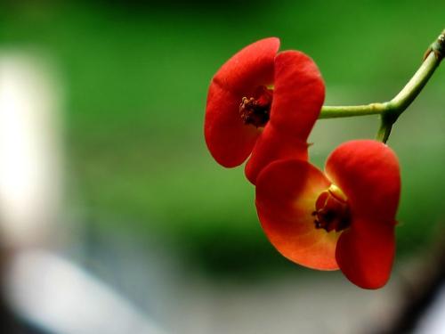 女生啪完腿不能控制的抖动