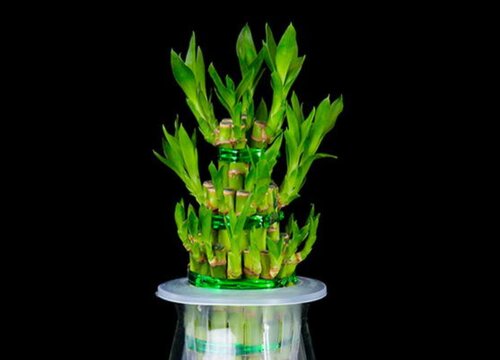 九年级上册历史书