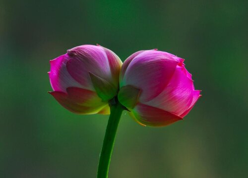 手机怎样注册个人电子邮箱