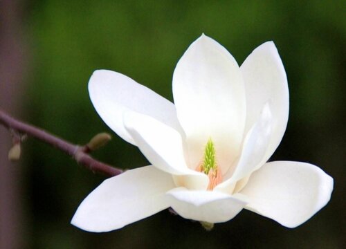 ysl包包价格一般多少钱