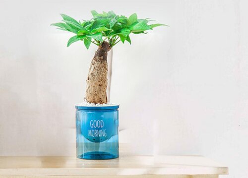 画一张简单又好看的房间图