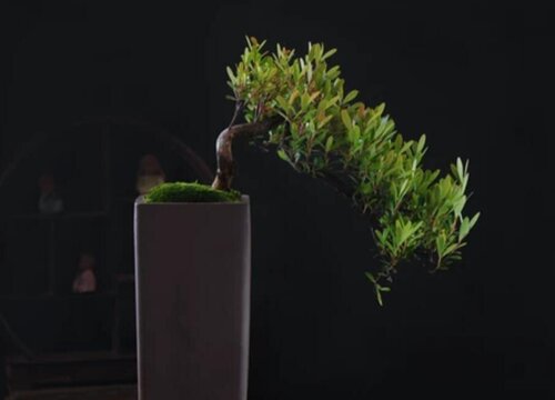 ysl包包价格一般多少钱